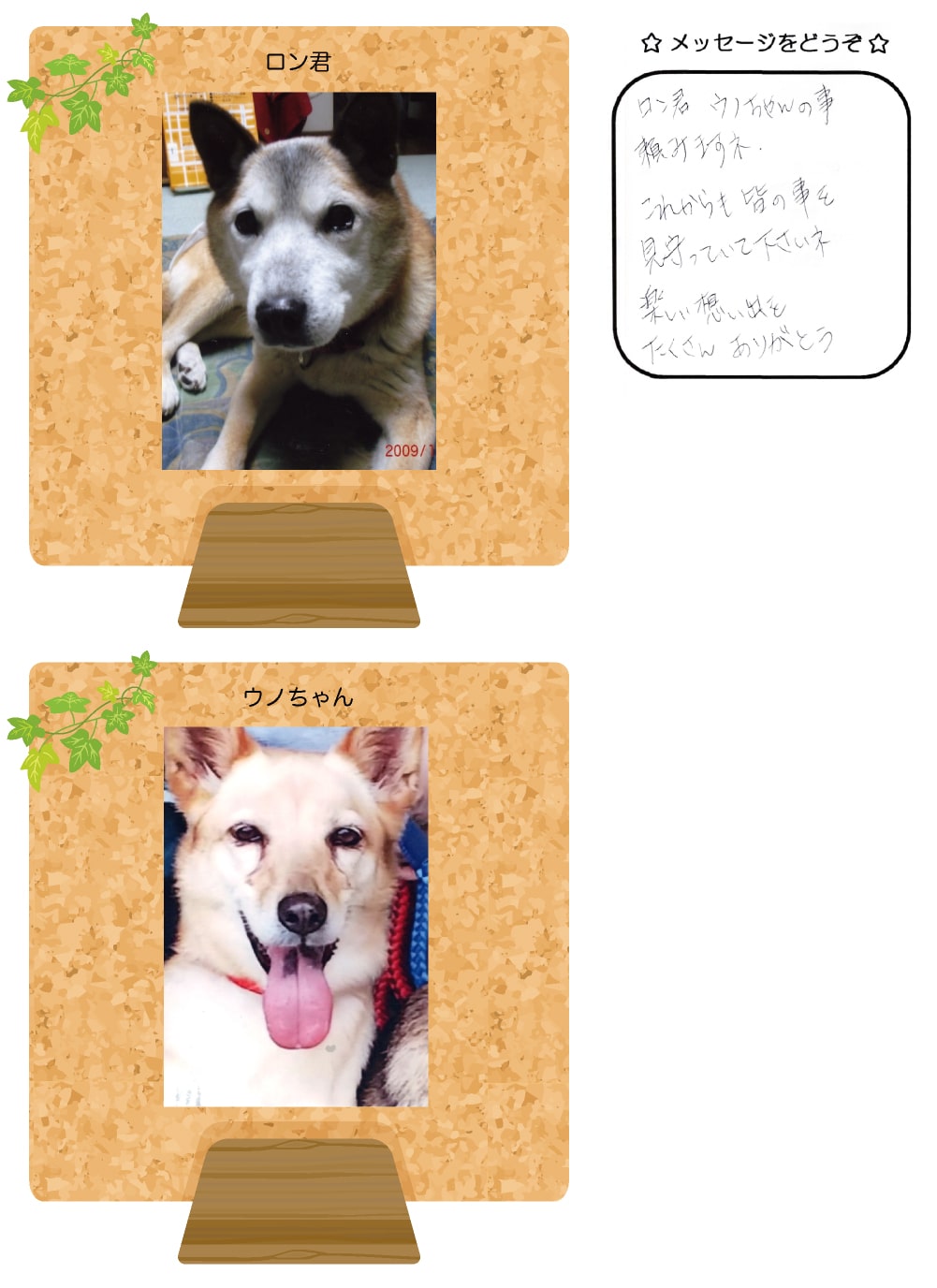 ロンくんとウノちゃんの写真とお手紙