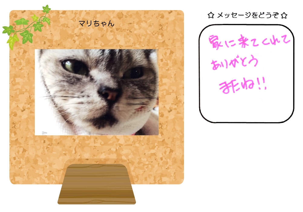 マリちゃんの写真とお手紙