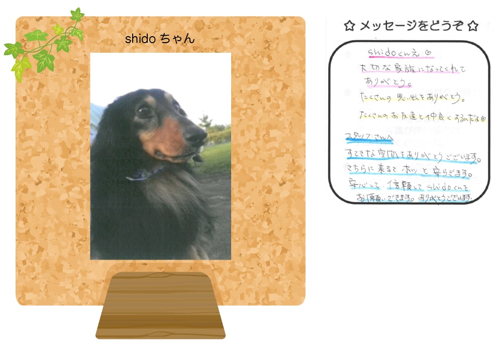 shidoの写真とお手紙
