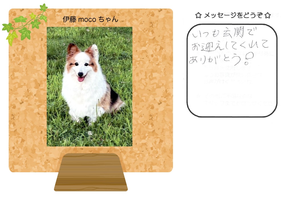 伊藤momoちゃんの写真とお手紙