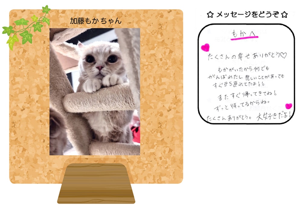 加藤もかの写真とお手紙