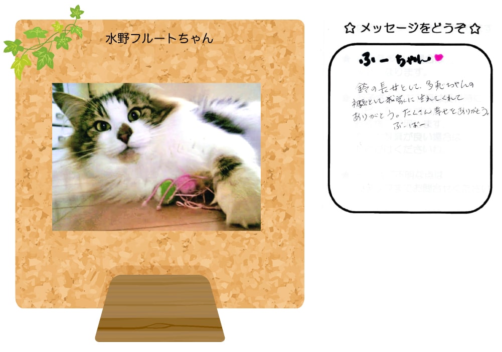 水野フルートちゃんの写真とお手紙