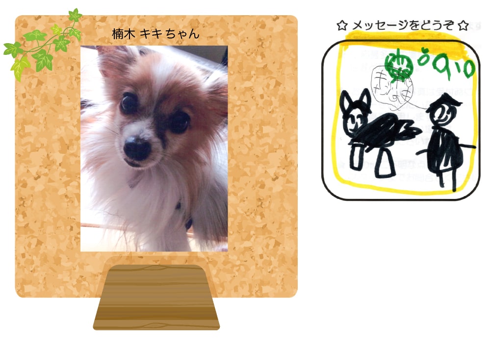 ؃LL̎ʐ^Ƃ莆