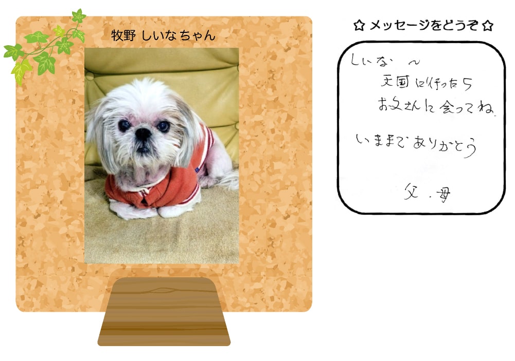 q삵Ȃ̎ʐ^Ƃ莆