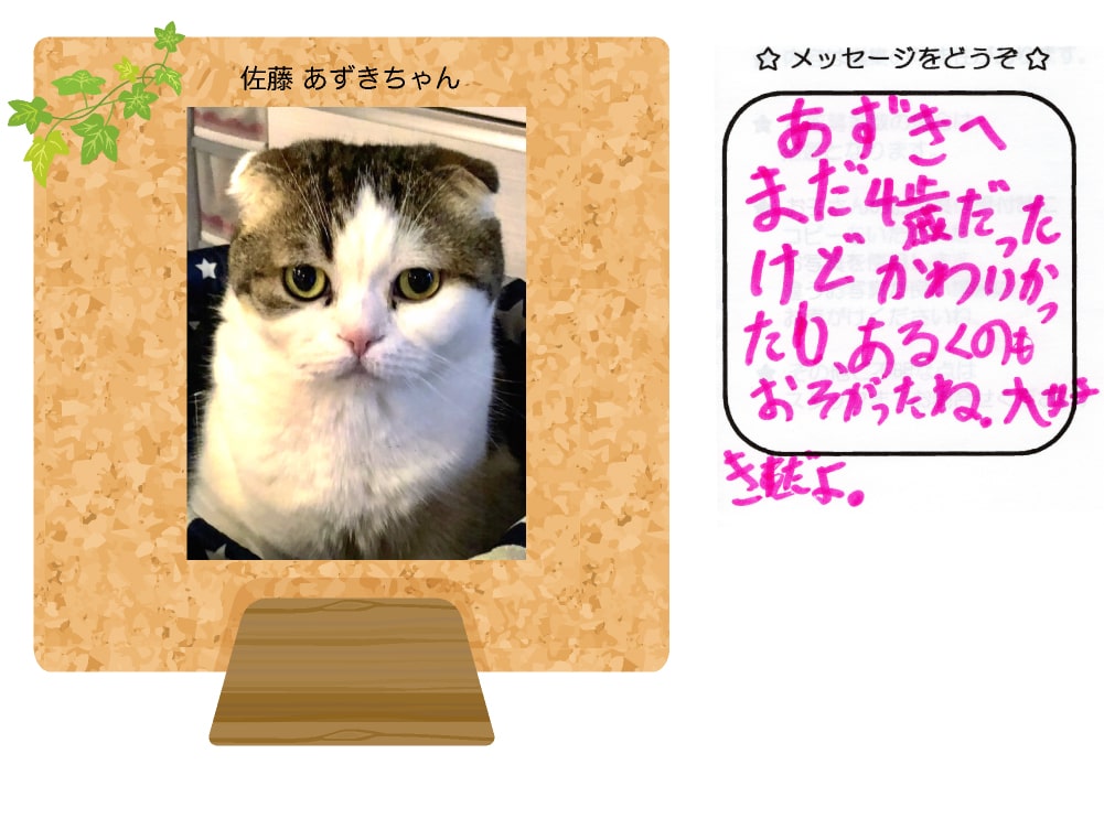 佐藤あずきちゃんの写真とお手紙