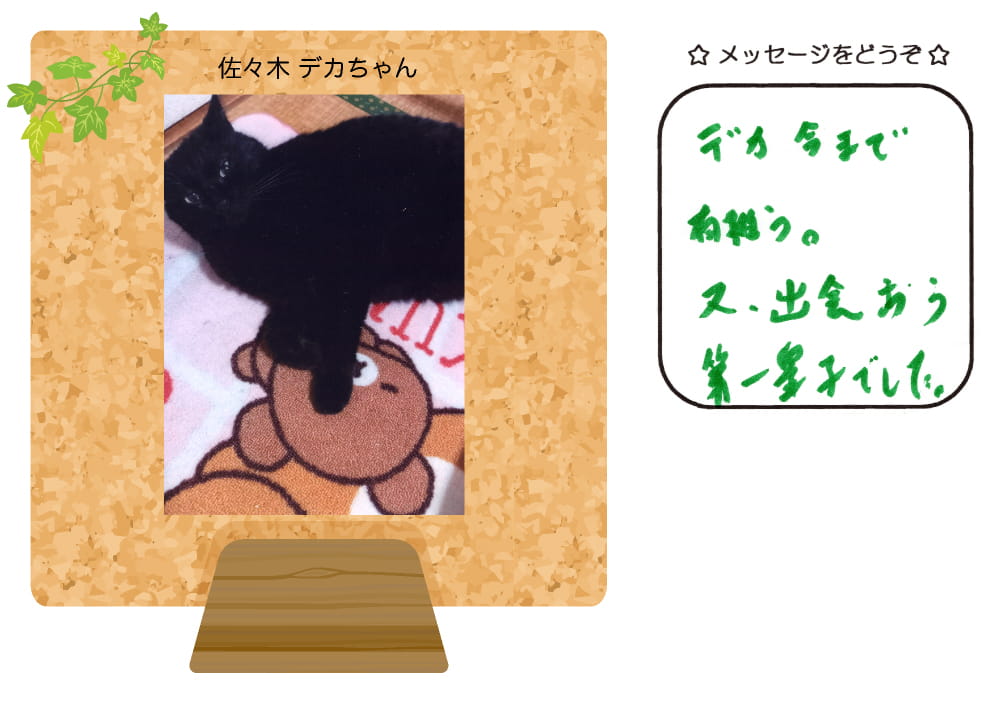 �L�V����������̎ʐ^�Ƃ��莆