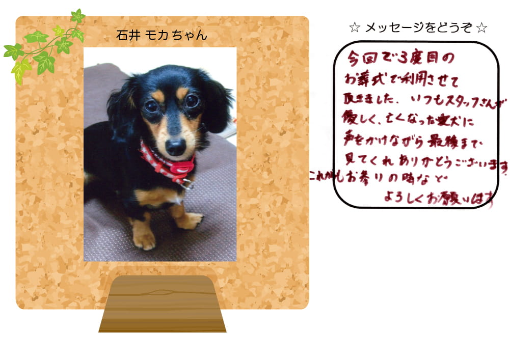 �Έ䃂�J�����̎ʐ^�Ƃ��莆