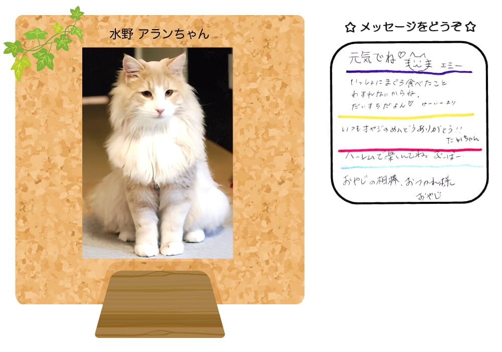 ����A���������̎ʐ^�Ƃ��莆