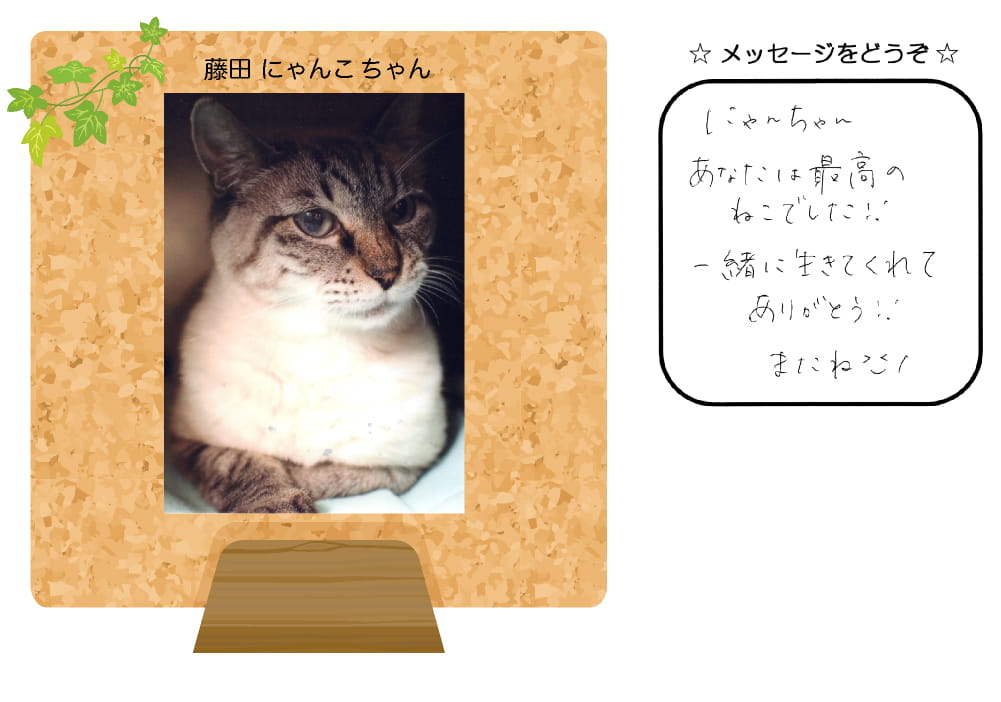 ���c�ɂ�񂱂����̎ʐ^�Ƃ��莆