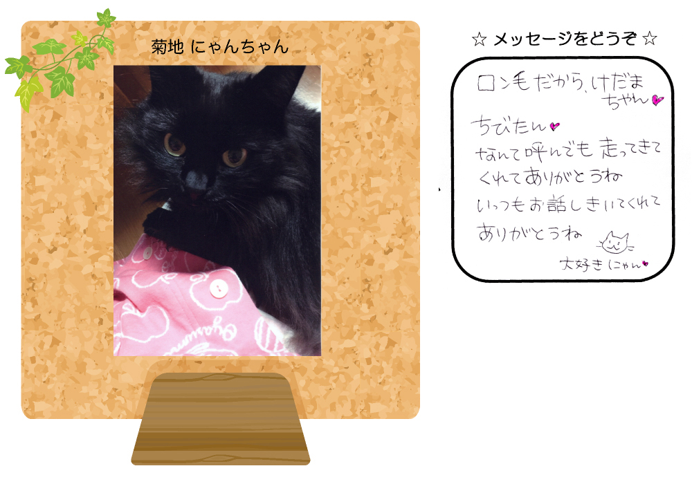 �e�r�ɂ�񂿂��̎ʐ^�Ƃ��莆