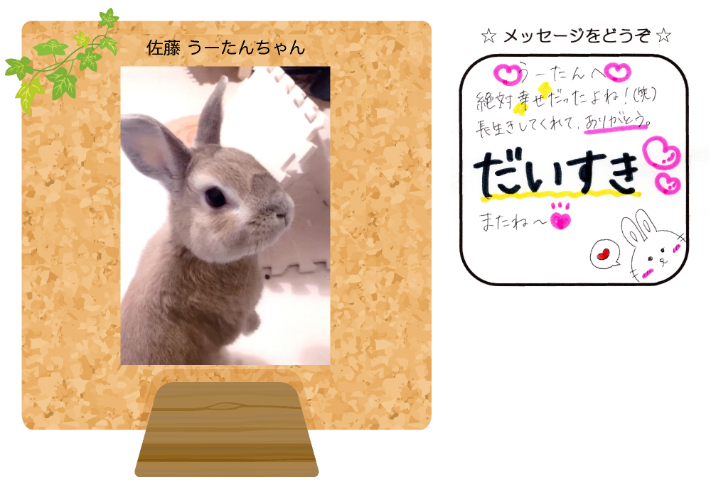 �������[���񂿂��̎ʐ^�Ƃ��莆