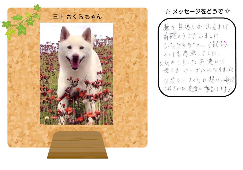 �O�コ���炿���̎ʐ^�Ƃ��莆