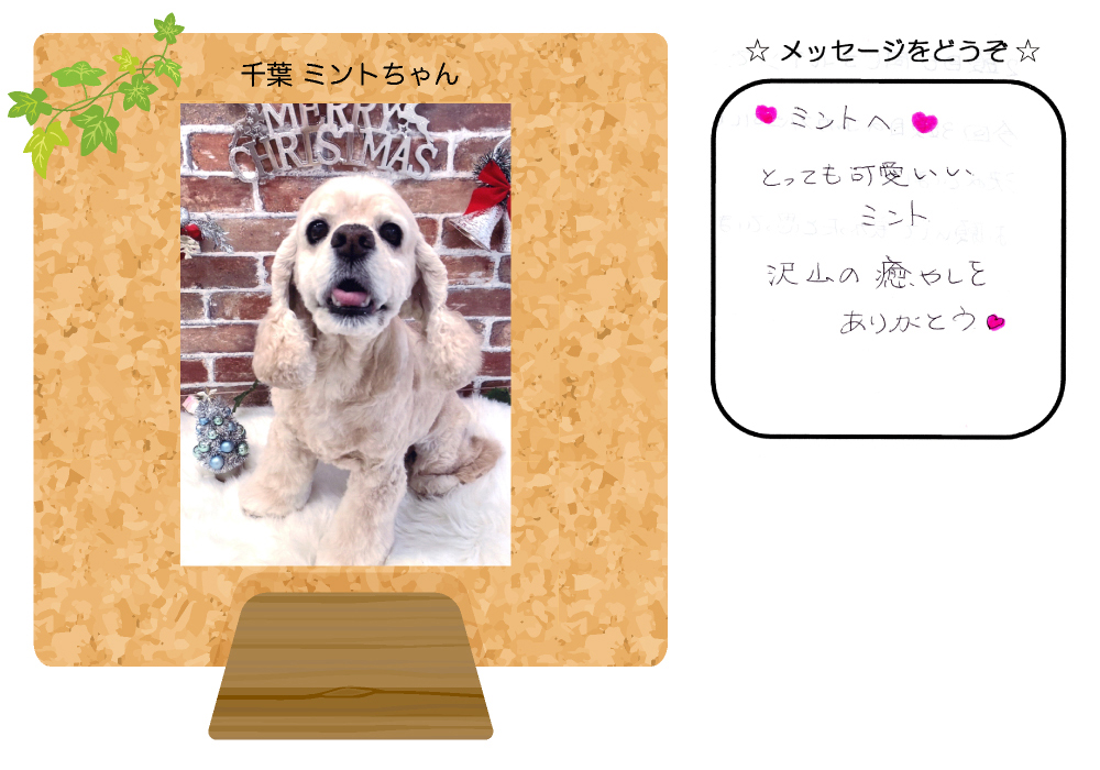 ��t�~���g�����̎ʐ^�Ƃ��莆