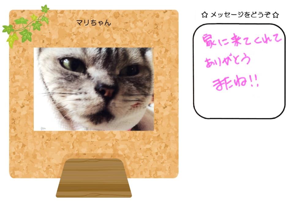マリちゃんの写真とお手紙