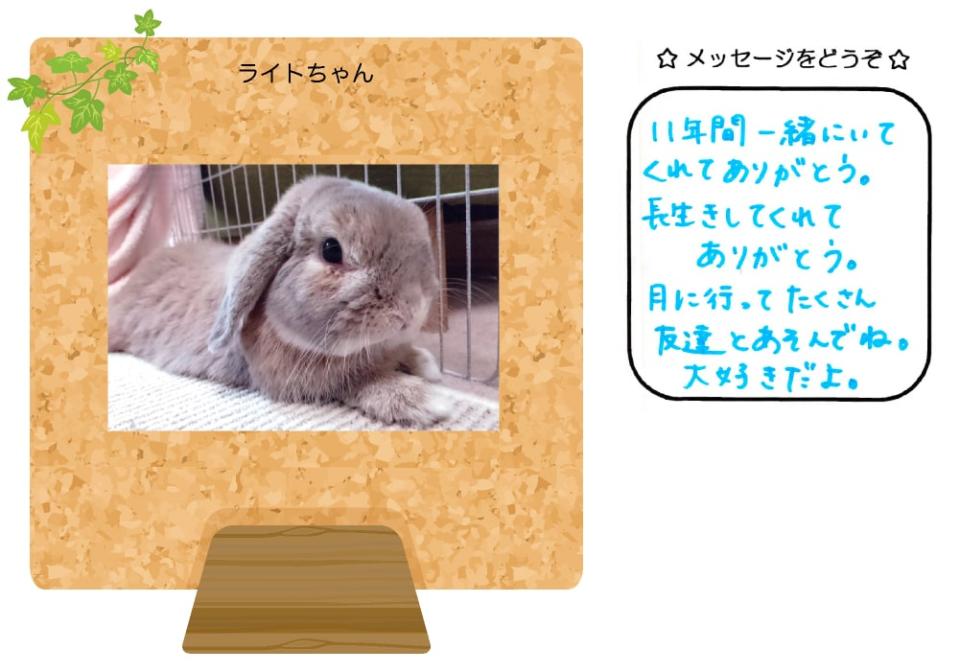 ライトちゃんの写真とお手紙