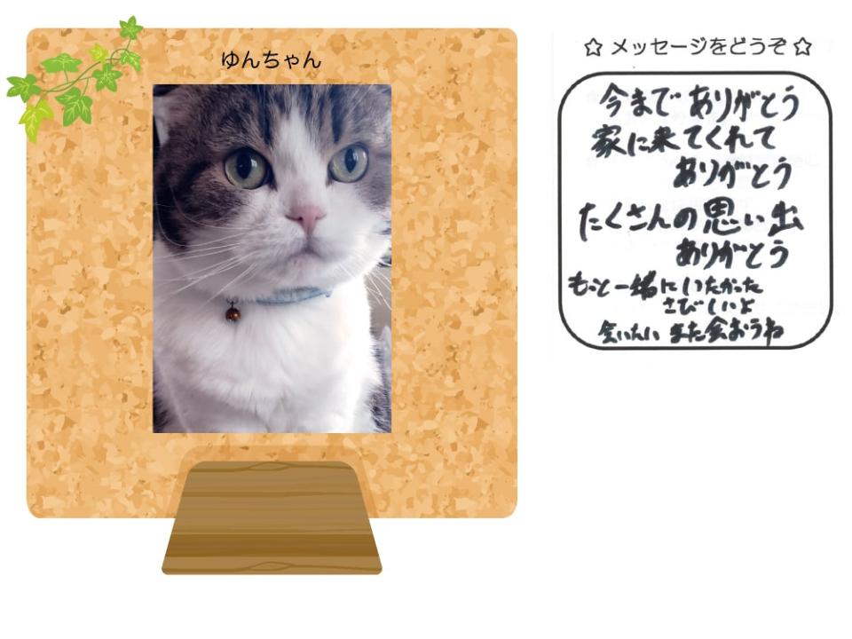 ゆんちゃんの写真とお手紙