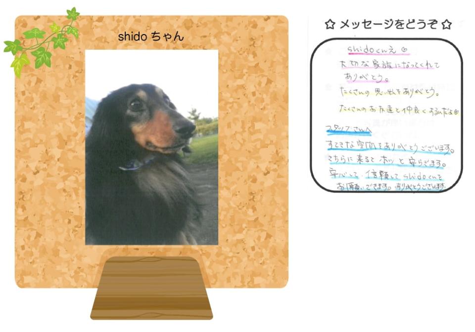 はるちゃんの写真とお手紙