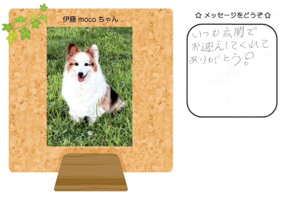 伊藤momoちゃんの写真とお手紙