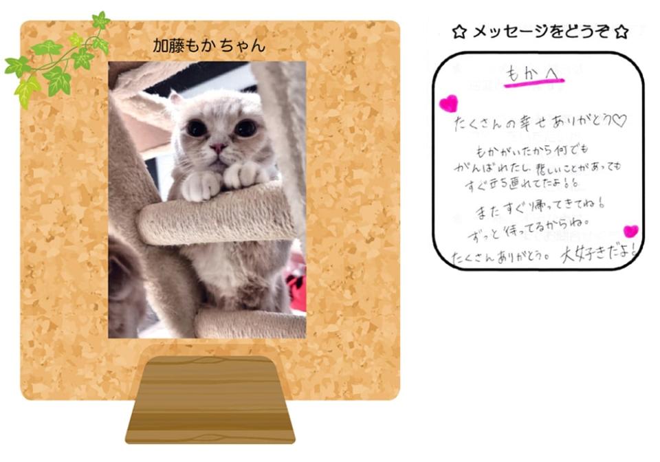 加藤もかちゃんの写真とお手紙