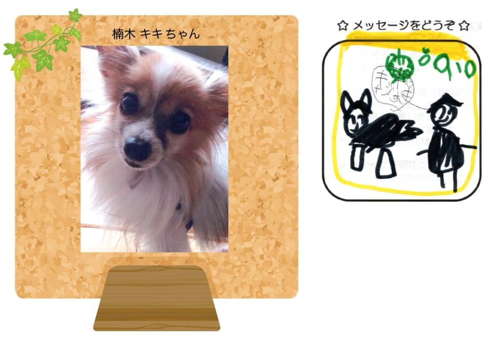 楠木キキちゃんの写真とお手紙