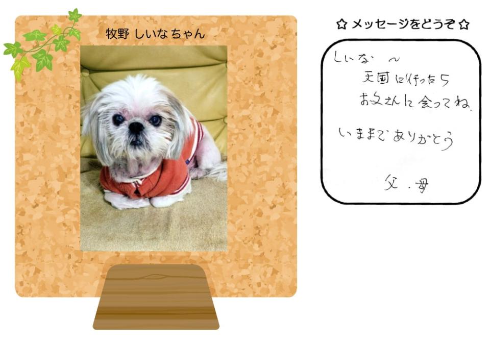 牧野しいなちゃんの写真とお手紙