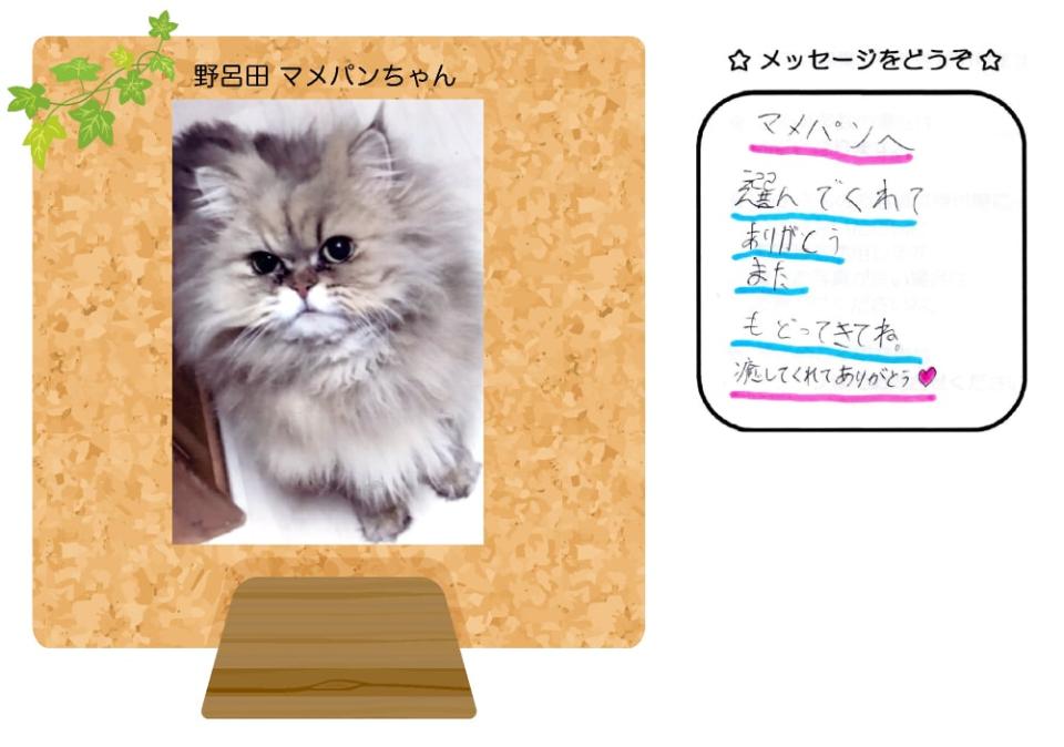 牧野しいなちゃんの写真とお手紙