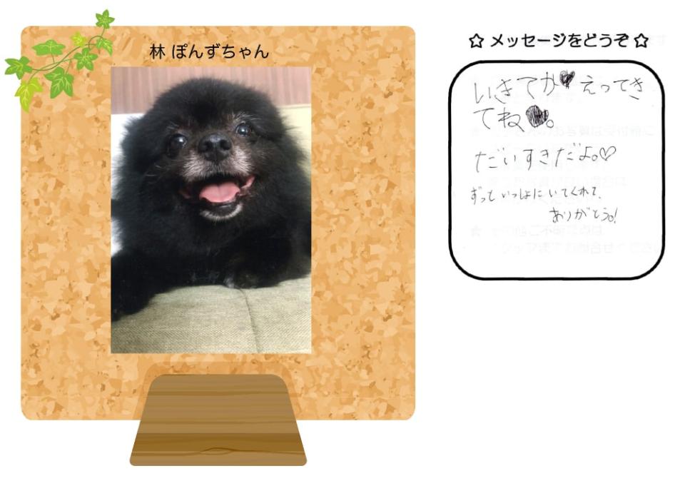 牧野しいなちゃんの写真とお手紙