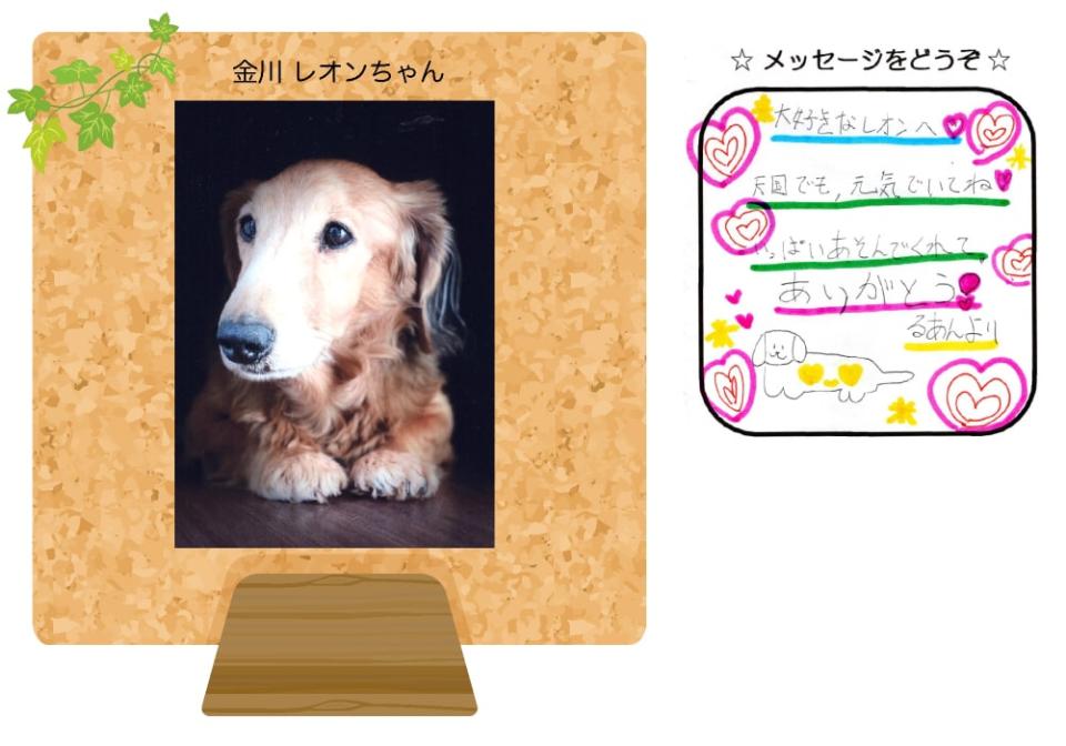牧野しいなちゃんの写真とお手紙