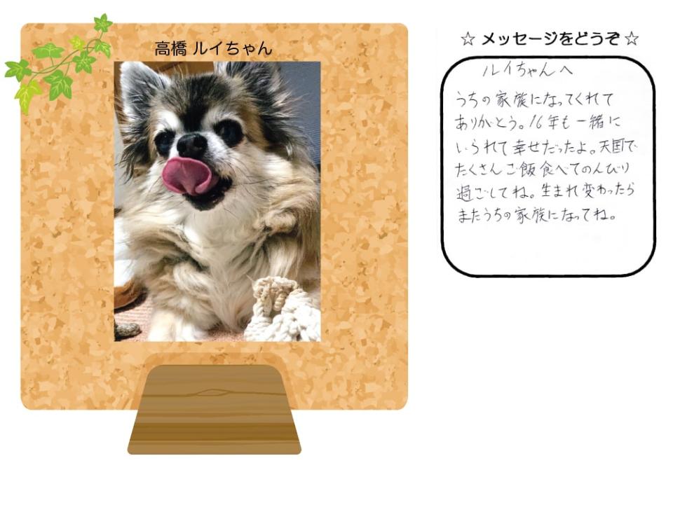 牧野しいなちゃんの写真とお手紙