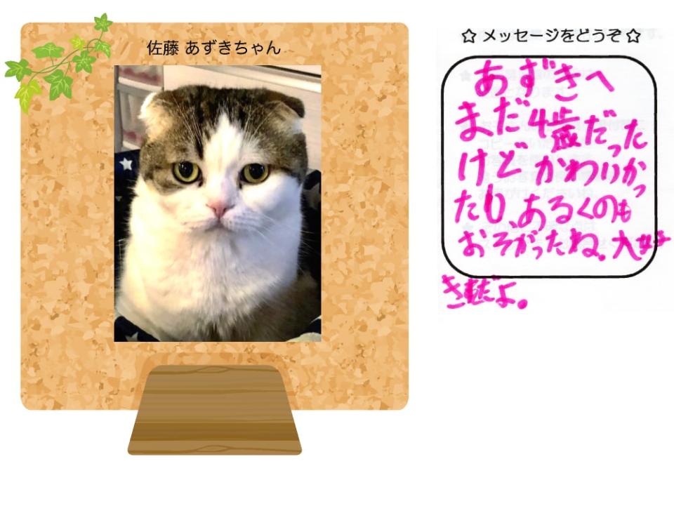 牧野しいなちゃんの写真とお手紙
