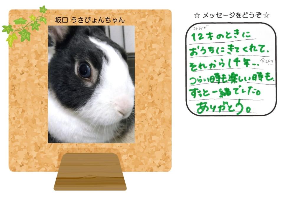 牧野しいなちゃんの写真とお手紙