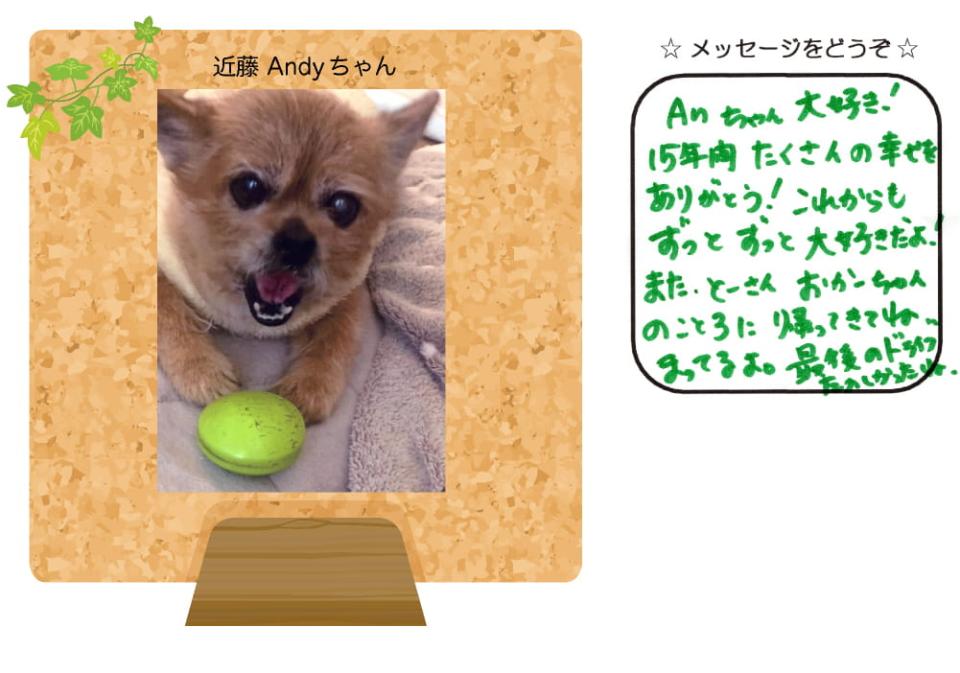 近藤Andyちゃんの写真とお手紙