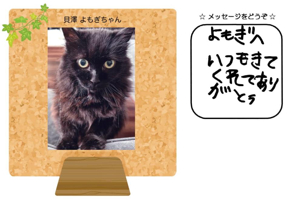 貝澤よもぎちゃんの写真とお手紙