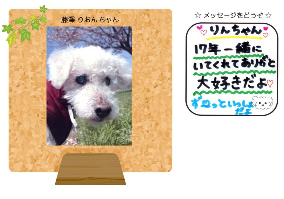 藤澤りおんちゃんの写真とお手紙