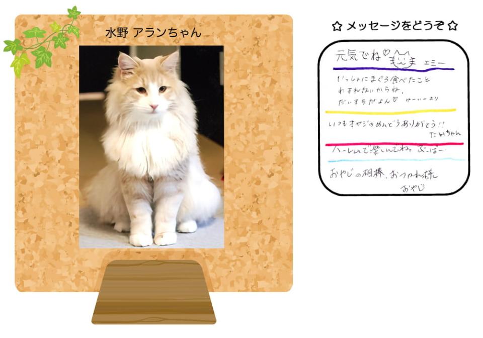 水野アランちゃんの写真とお手紙