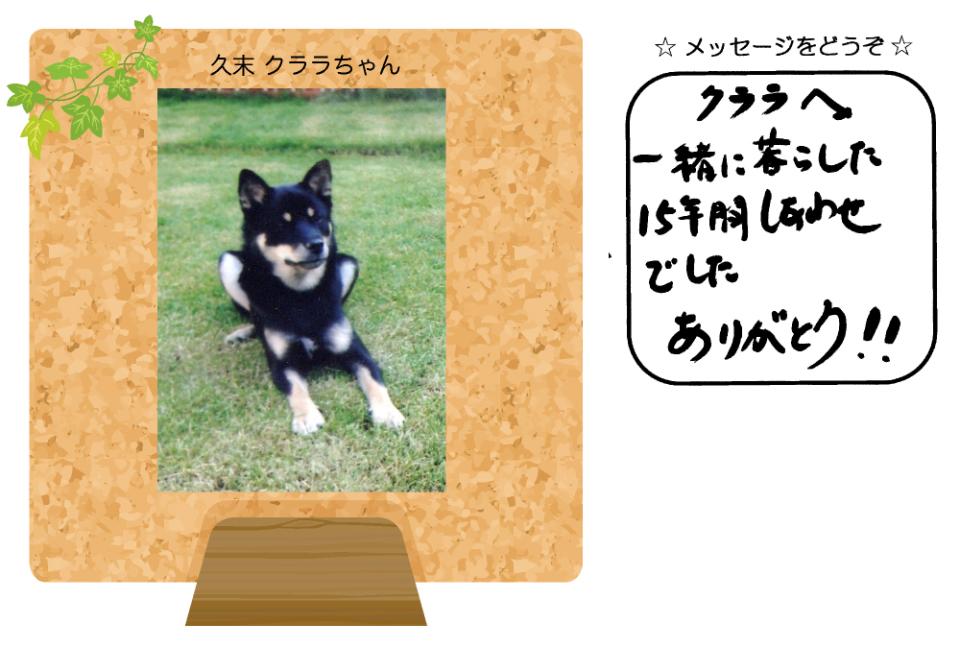 久末クララちゃんの写真とお手紙