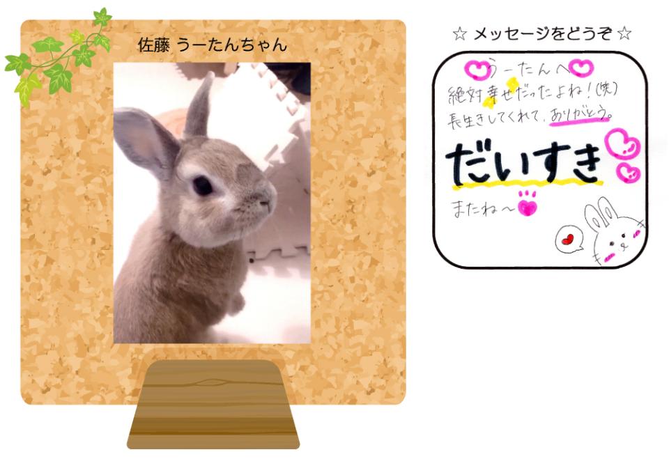 佐藤うーたんちゃんの写真とお手紙